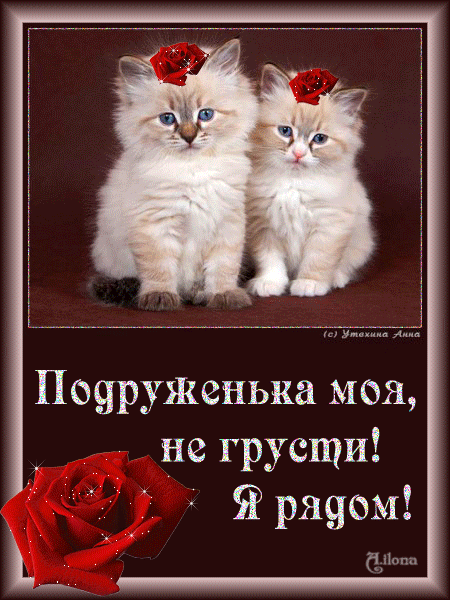 Мой друг ты все мои печали стих Мой друг ты все мои печали стих