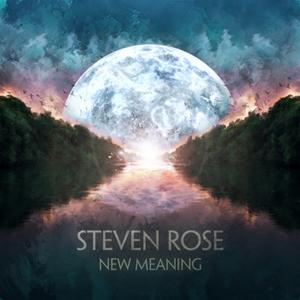 Steven Rose - New Meaning (2012)