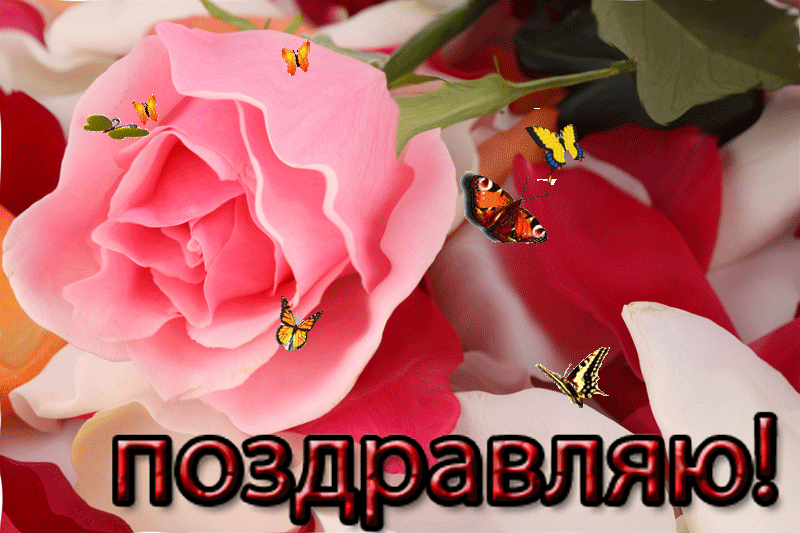 Как в контакте отправить бесплатно открытку Как в контакте отправить бесплатно открытку