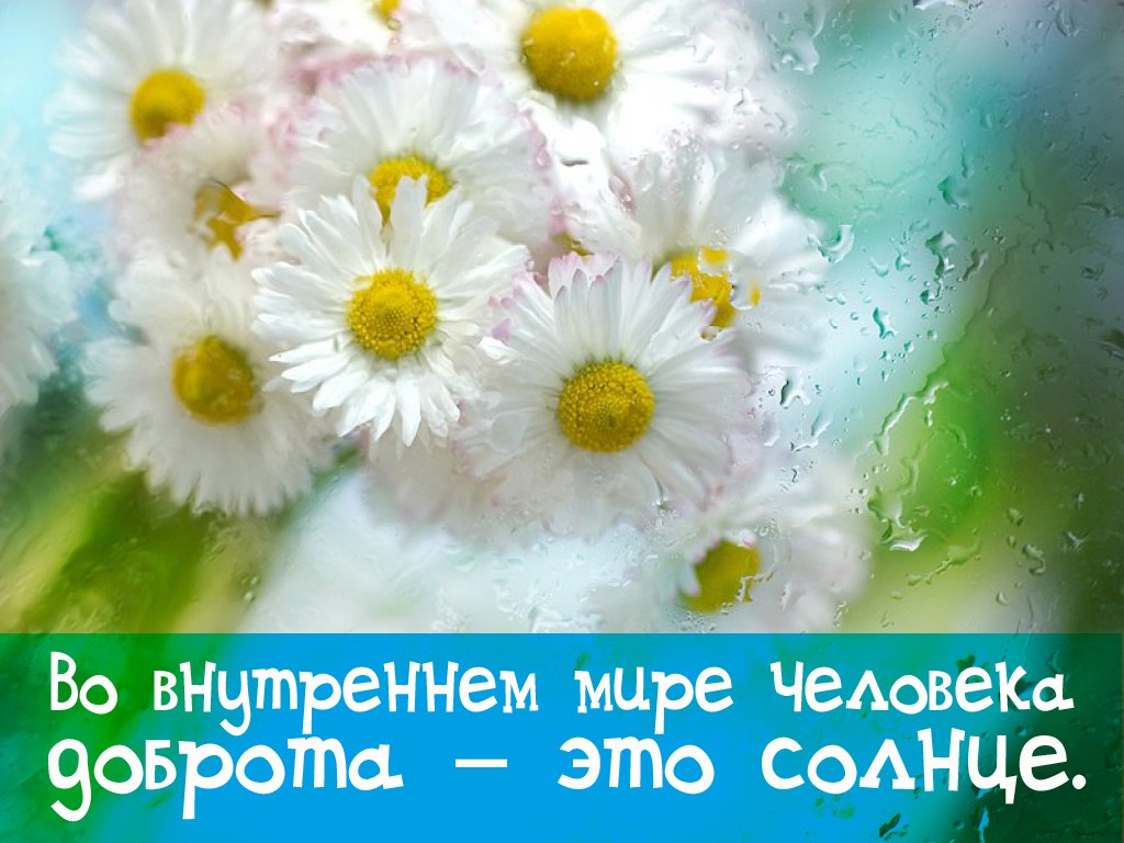 Матерные Матерные