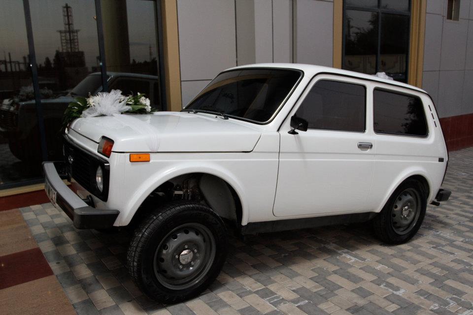 f5981a095ad1f11cd1978c3f95144ae1.jpg