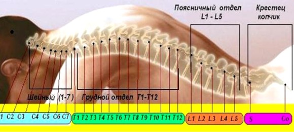 Почему болит спина в области поясницы справа причины и лечение