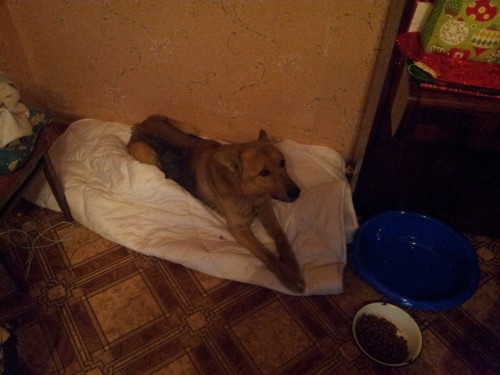 user posted image