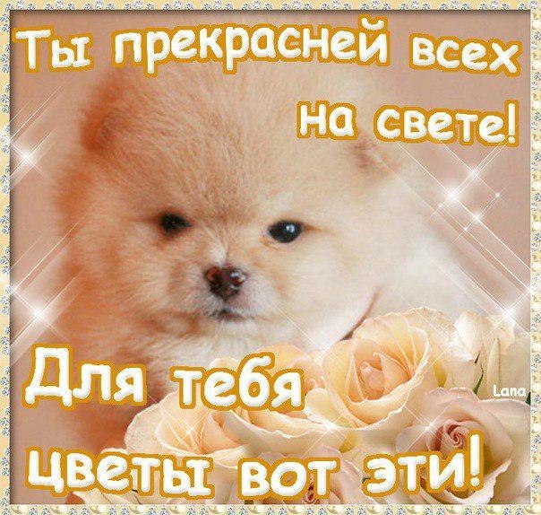 Ты самый красивый открытки Ты самый красивый открытки