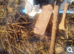 user posted image