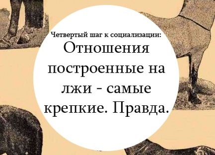 Не отправляйте картинки доброе утро правда или ложь