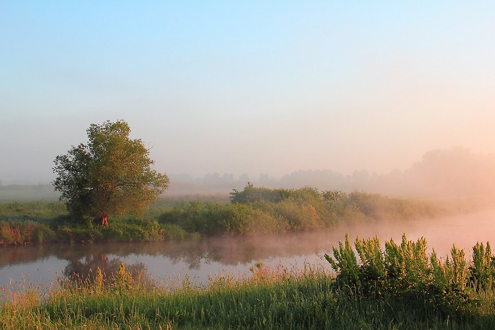 Раннее летнее утро в воздухе впр. Туманное утро. Туманное утро на реке. Утренний пейзаж. Раннее утро на реке.
