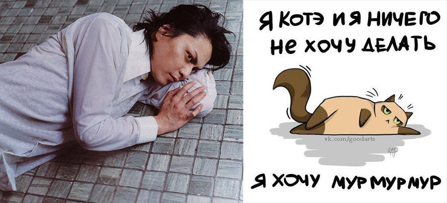 Суббота и опять работа. Мур мур. Охотничья собака прикол. Почему ничего не охота делать. Почему ничего не охота делать.