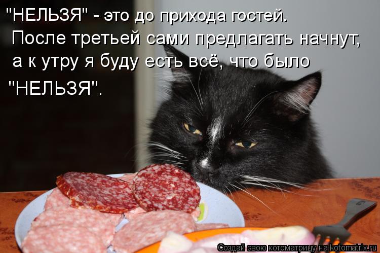 Не вкусно. Кот с колбасой. Кот ест колбасу. Смешные коты с колбасой. Кот любит колбасу.