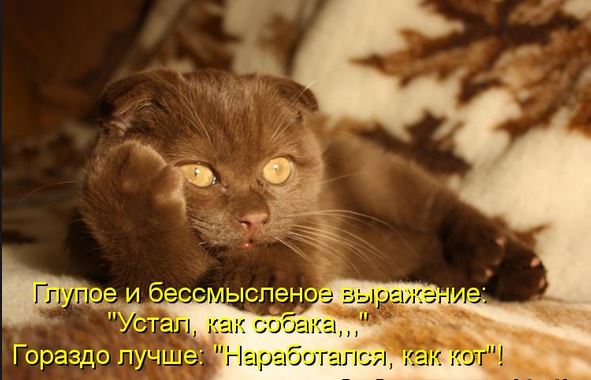 http://s2.hostingkartinok.com/uploads/images/2014/03/0c6525a48649751c2c45907a8291d7d4.jpg